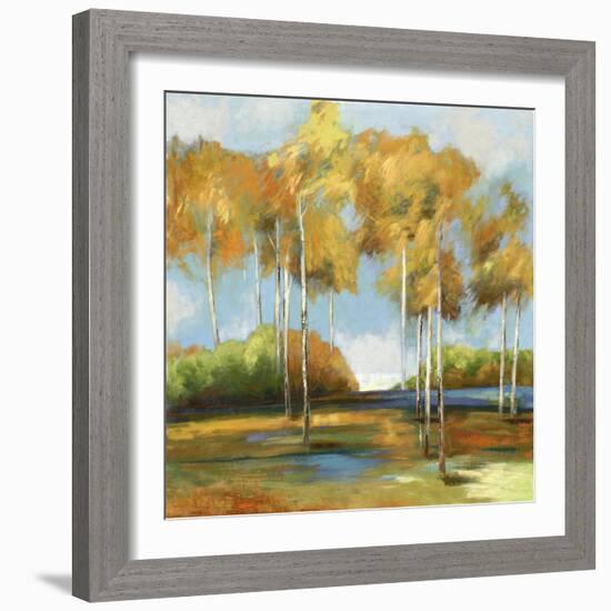 Breezy Birches-Anna Polanski-Framed Art Print