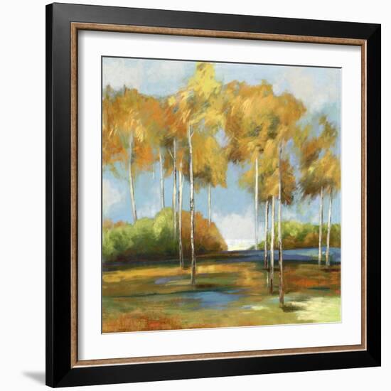 Breezy Birches-Anna Polanski-Framed Art Print