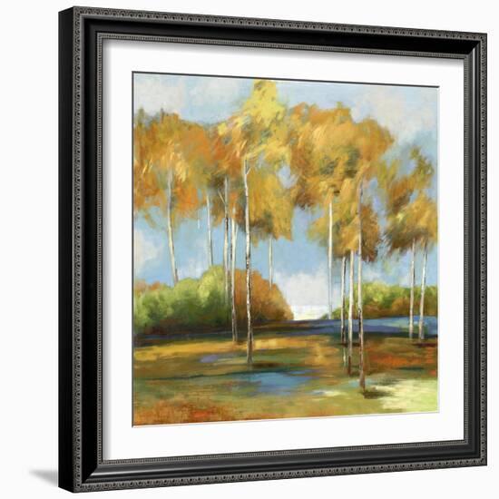 Breezy Birches-Anna Polanski-Framed Art Print