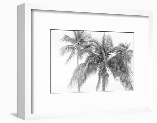 Breezy IV-Elizabeth Urquhart-Framed Photographic Print