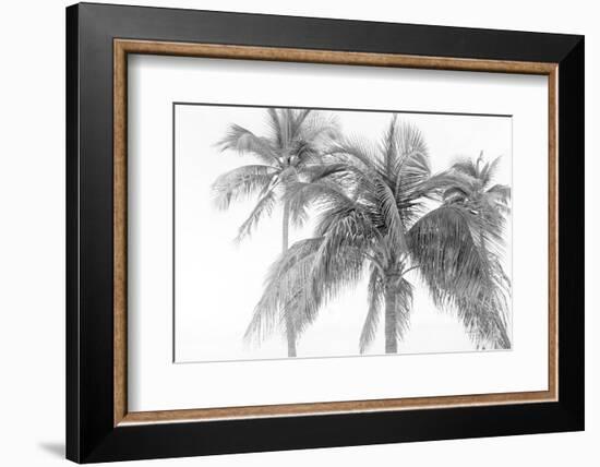 Breezy IV-Elizabeth Urquhart-Framed Photographic Print