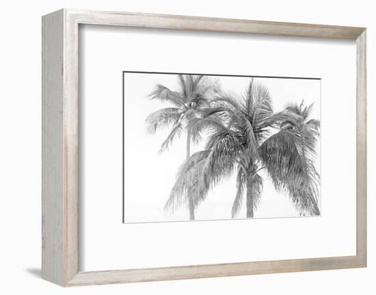 Breezy IV-Elizabeth Urquhart-Framed Photographic Print