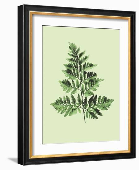 Bregne-Heaven on 3rd-Framed Art Print