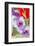 Bremerton, Washington State, USA. Gladiola flowers-Jolly Sienda-Framed Photographic Print