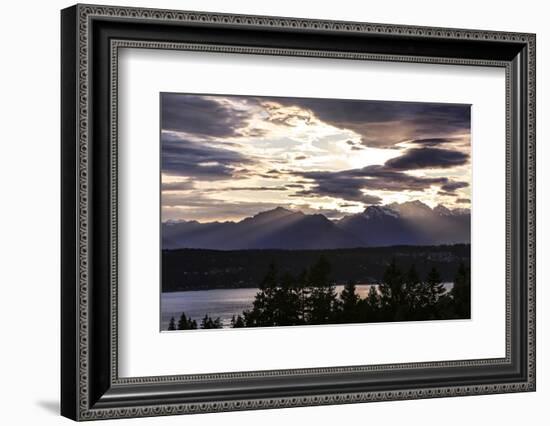 Bremerton, Washington State, USA, Olympic Mountains, Puget Sound sunset-Jolly Sienda-Framed Photographic Print