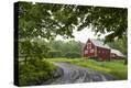 Stretched Canvas Print