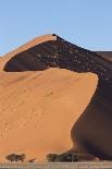 An s-curve on a tall orange-sand dune in Sossusvlei within Namib-Naukluft National Park, Namibia.-Brenda Tharp-Photographic Print