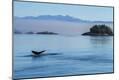 Premium Photographic Print