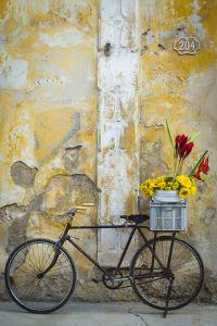 Cuba, Havana. Bicycle with Flowers Leaning Against a Decaying Wall by Brenda Tharp