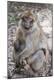 Premium Photographic Print