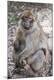 Premium Photographic Print