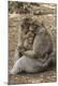 Premium Photographic Print