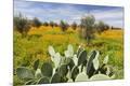 Premium Photographic Print