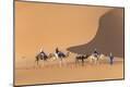 Premium Photographic Print