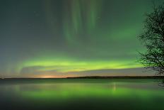 Northern Lights Reflecting in the Water with a Tree Silhouette-Brent Beach-Mounted Photographic Print