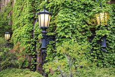 Boston, Massachusetts, USA. Street lamps with abundant foliage of historic buildings.-Brent Bergherm-Photographic Print