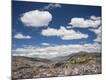 Photographic Print