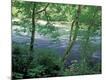 Premium Photographic Print
