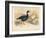 Brent Goose (Branta bernicla), Lesser Snow Goose (Chen hyperboreus), 1900, (1900)-Charles Whymper-Framed Giclee Print