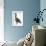 Brent Goose-null-Framed Giclee Print displayed on a wall