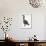 Brent Goose-null-Framed Giclee Print displayed on a wall