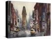 Stretched Canvas Print