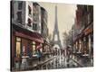 Stretched Canvas Print