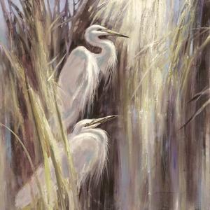 Seaside Egrets by Brent Heighton