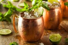 Icy Cold Moscow Mules with Ginger Beer and Vodka-Brent Hofacker-Photographic Print