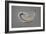 Breton Oyster 1-Lincoln Seligman-Framed Giclee Print