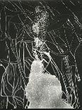 Underwater Nude, 1979-Brett Weston-Framed Photographic Print