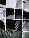 Premium Photographic Print