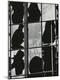 Photographic Print