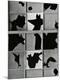 Photographic Print