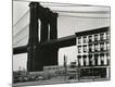 Premium Photographic Print