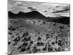 Photographic Print