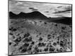 Photographic Print
