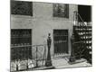 Photographic Print