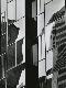 Premium Photographic Print