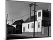 Photographic Print