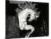 Photographic Print