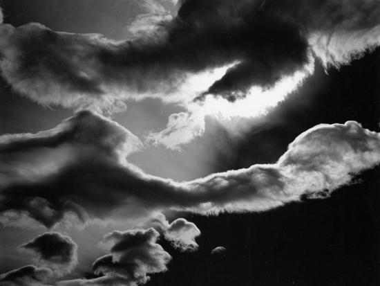 Photographic Print, , large