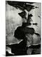 Photographic Print