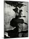 Photographic Print