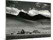Photographic Print
