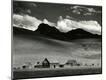 Photographic Print