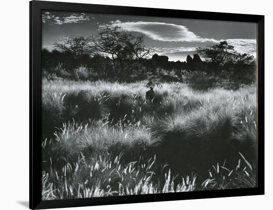 Photographic Print, , large