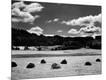Photographic Print