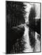 Photographic Print