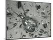 Photographic Print